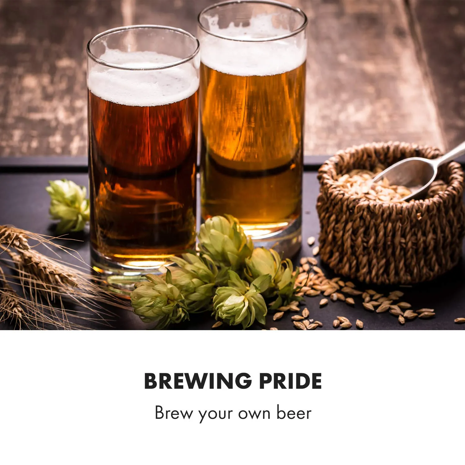 Klarstein Gärkeller cuve de fermentation 30 L inox