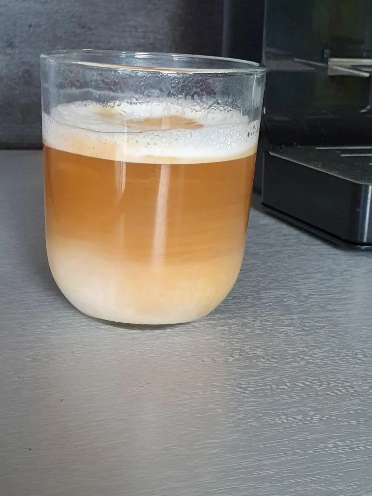 Klarstein BellaVita cafetière expresso 20 bars gris acier