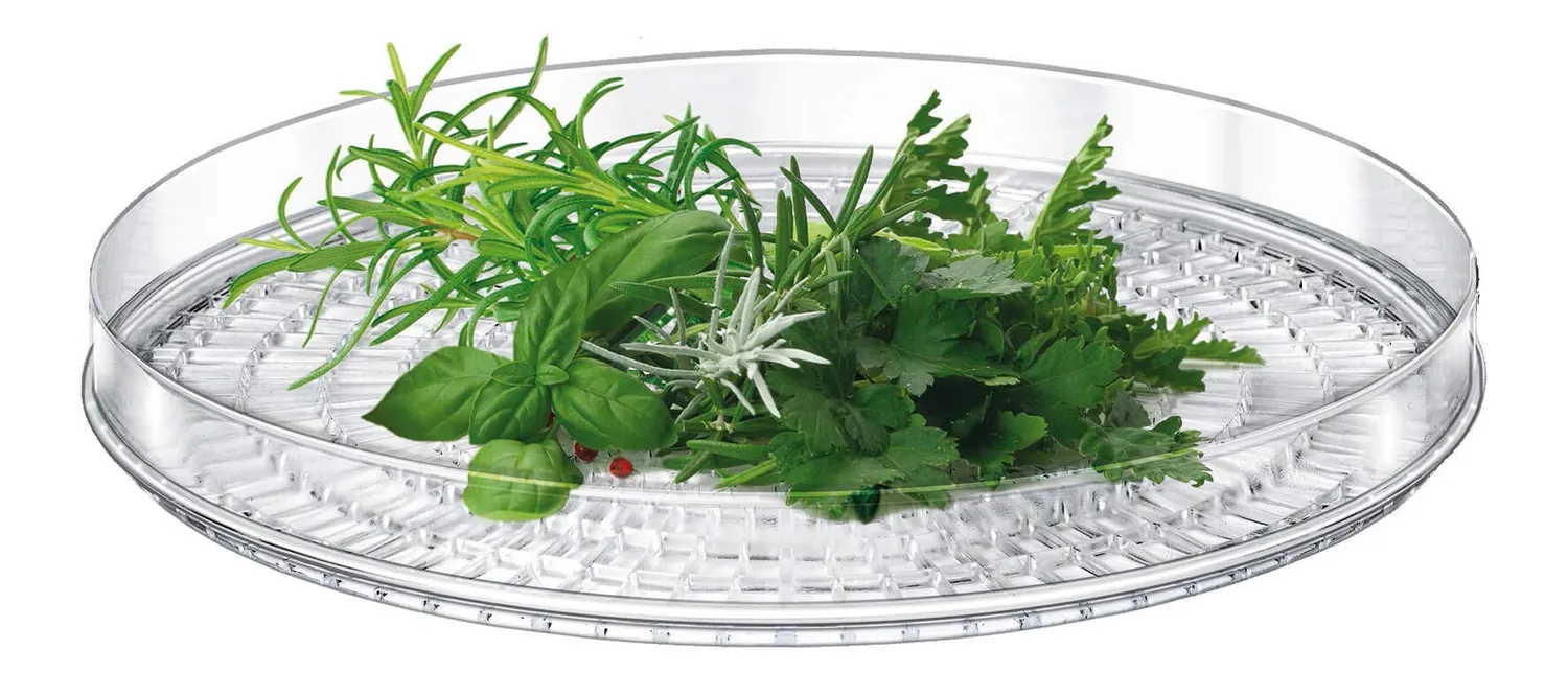 MPM MSG-11 déshydrateur alimentaire 500W 5 plateaux
