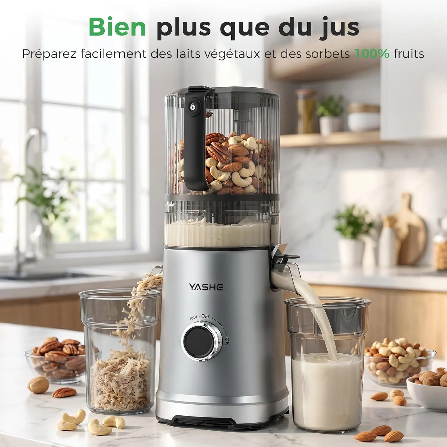 YASHE Extracteur Jus Froid 600W Goulotte 152mm 3-en-1