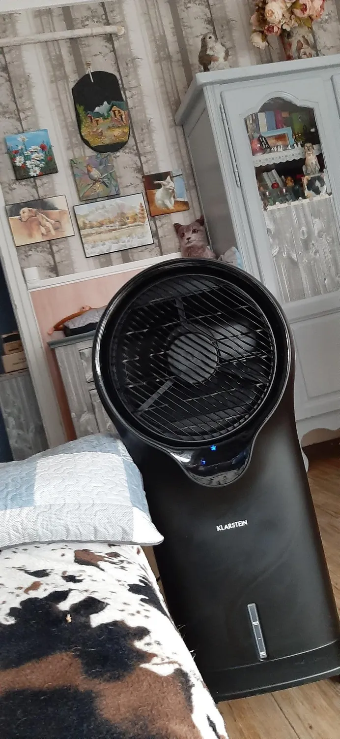 Klarstein climatiseur mobile 3 en 1 90 W 1600 m³/h