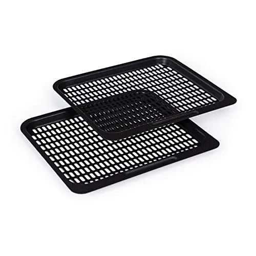 Klarstein AeroVital Fry grilles cuisson 24x20 cm x2