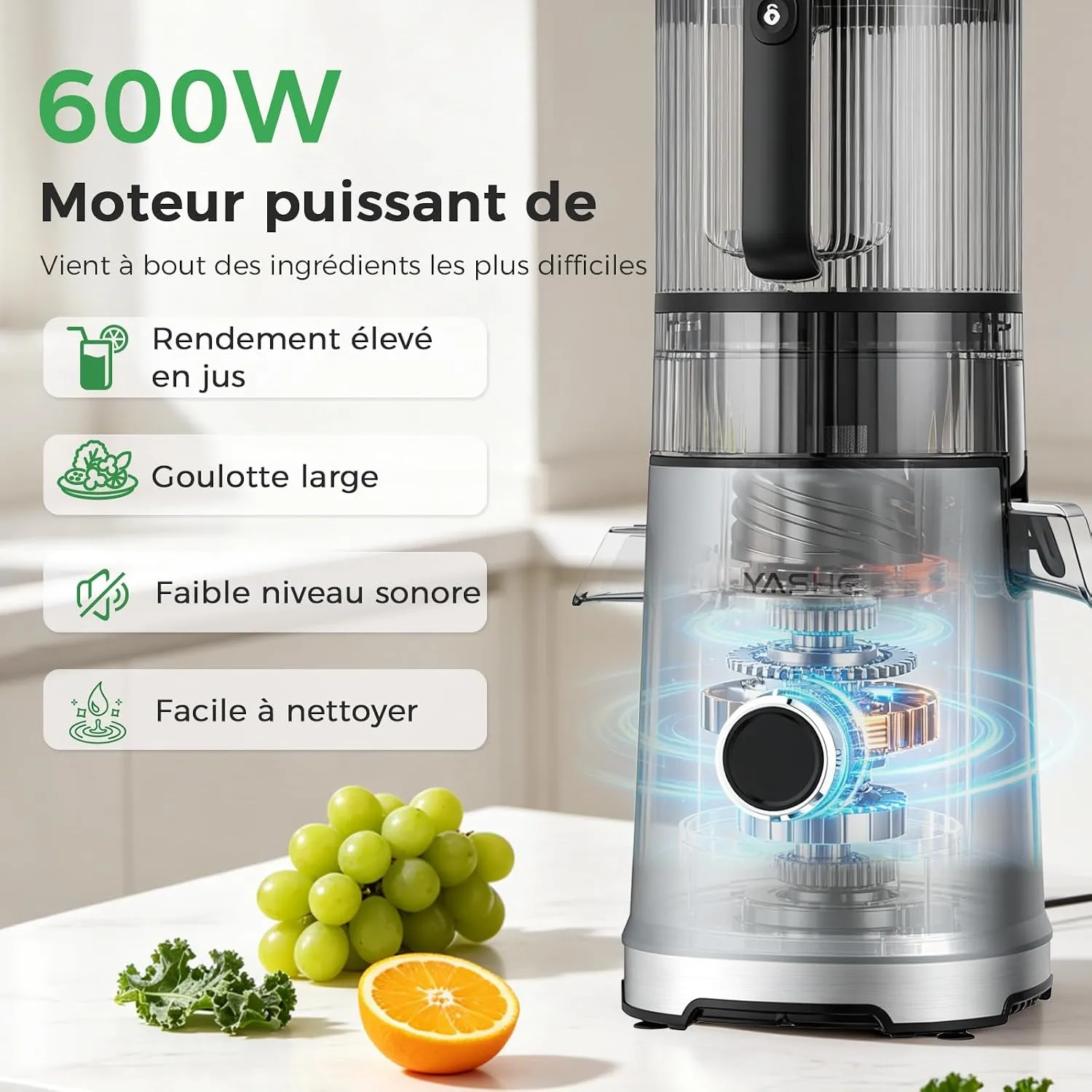 YASHE Extracteur Jus Froid 600W Goulotte 152mm 3-en-1