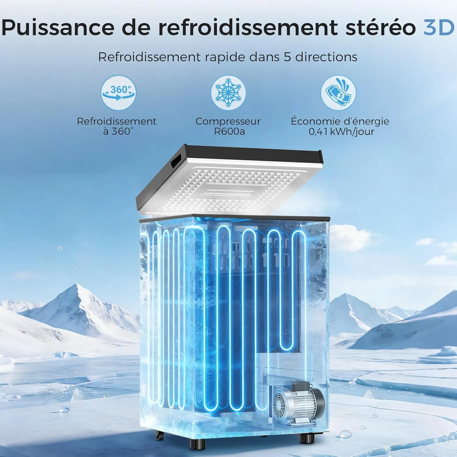 YASHE Congélateur Coffre 100L Noir Pose Libre 2 Paniers