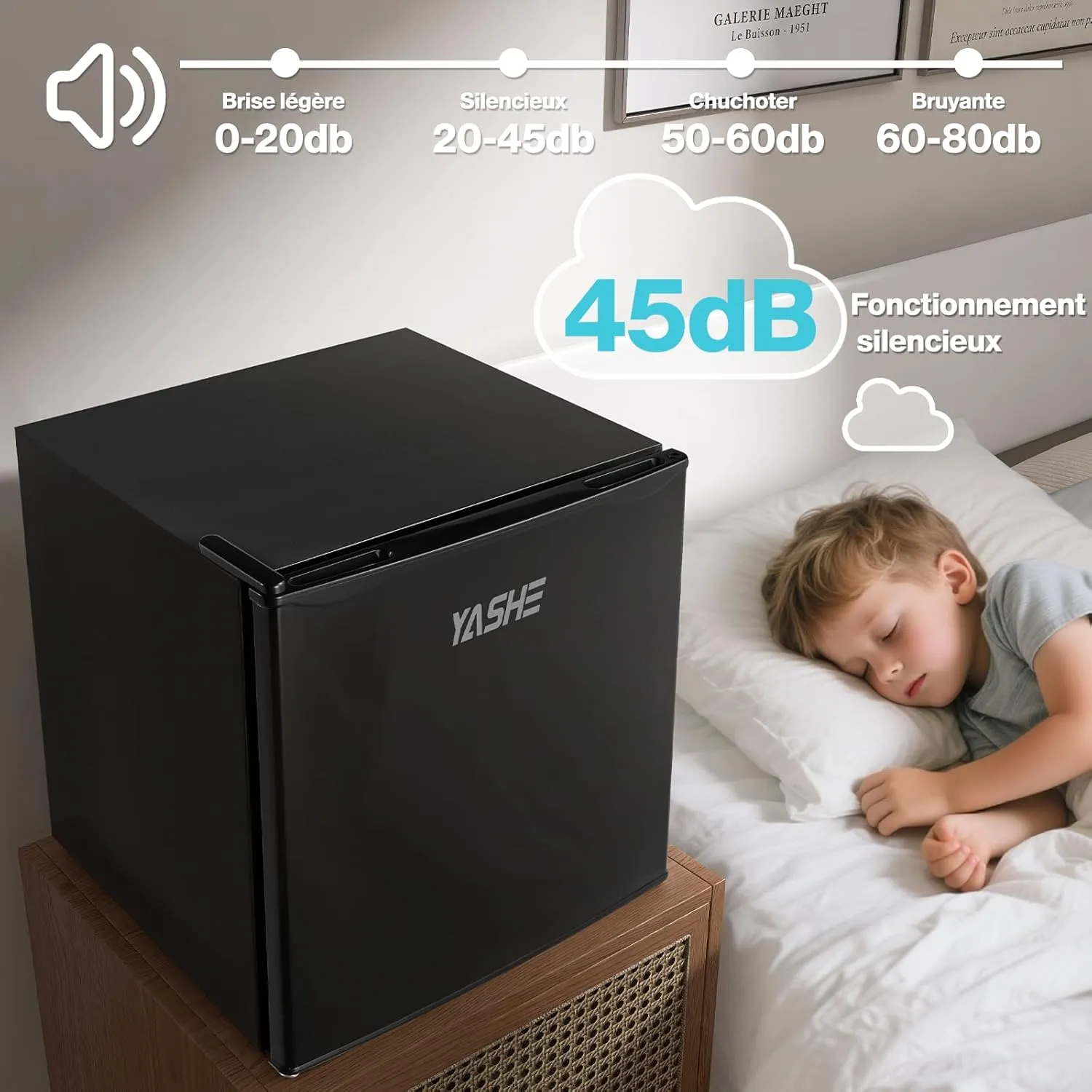 YASHE Mini Réfrigérateur 52L Thermostat -2°C