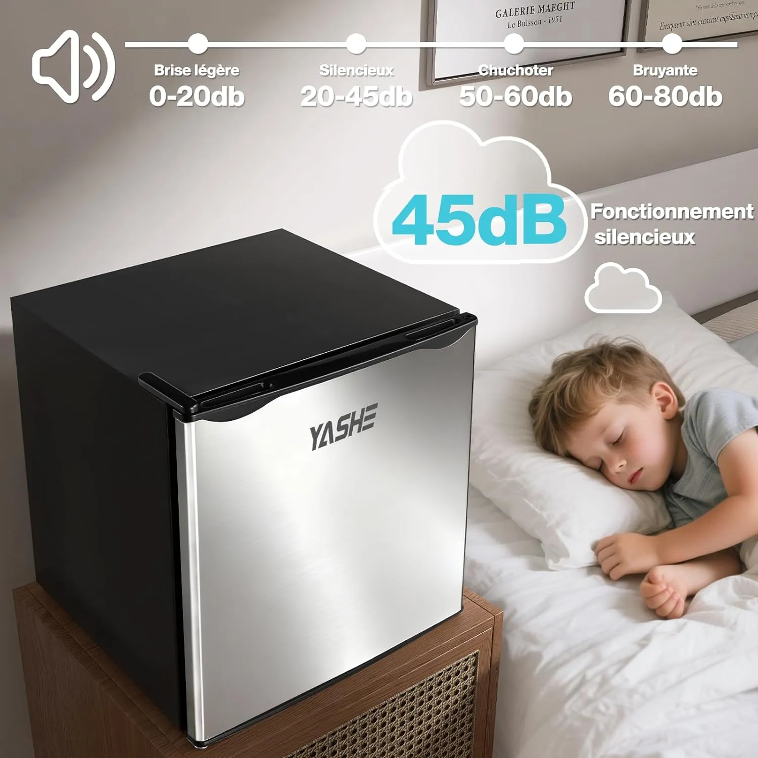 YASHE Mini Réfrigérateur 52L Thermostat -2°C