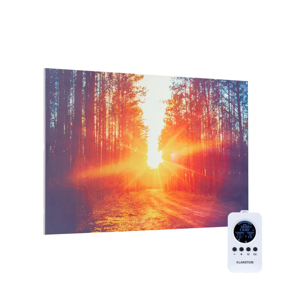 Klarstein radiateur infrarouge mural 90x60 cm 580W