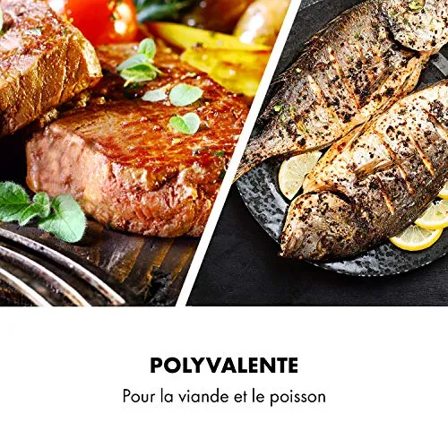 Klarstein AeroVital Cube Chef cage à steak inox