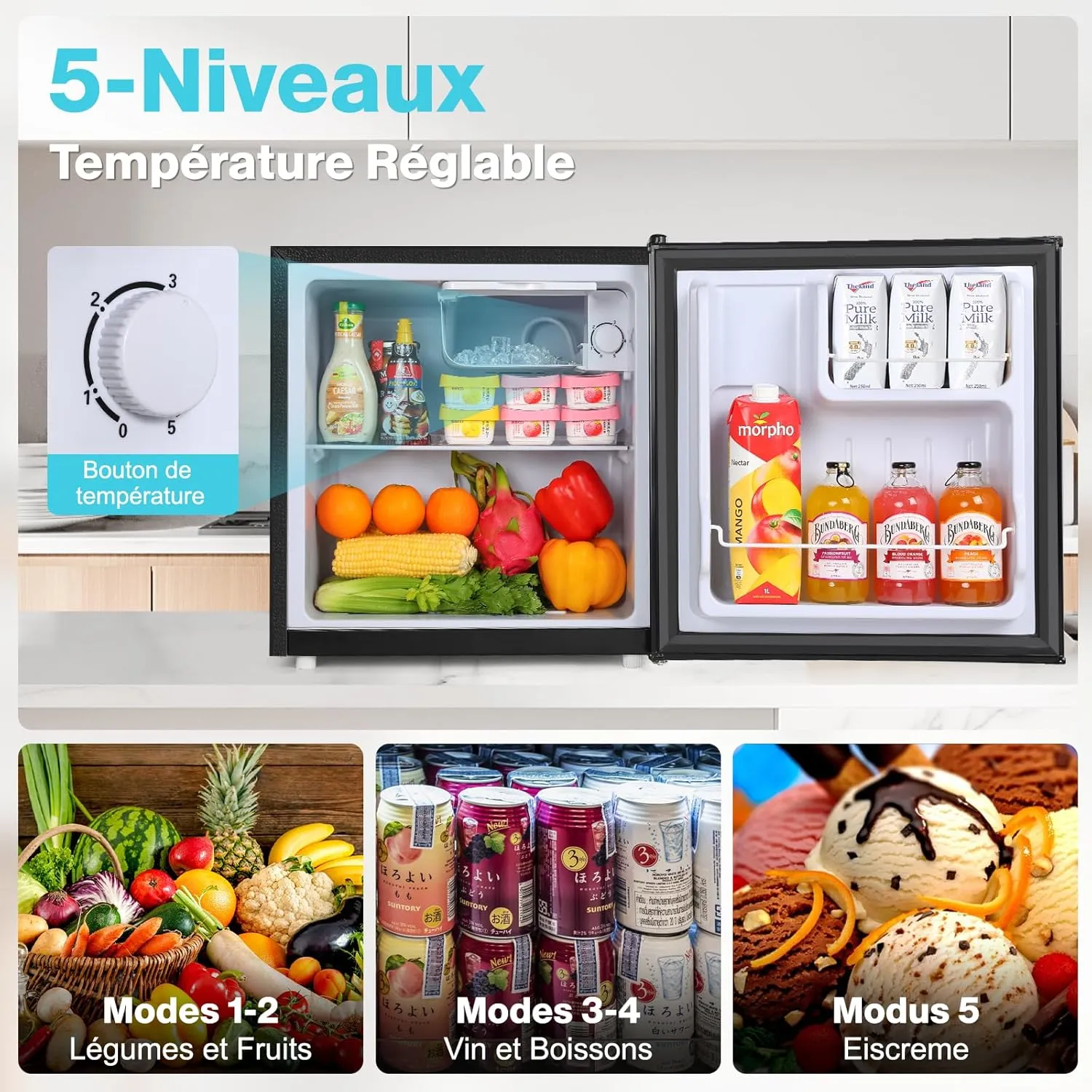 YASHE Mini Réfrigérateur 52L Thermostat -2°C
